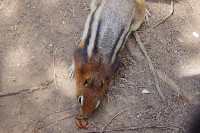 IMGP4866.JPG IMGP4866.JPG