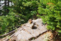 IMGP4867.JPG IMGP4867.JPG