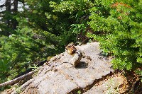 IMGP4868.JPG IMGP4868.JPG