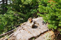 IMGP4869.JPG IMGP4869.JPG