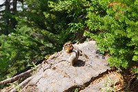 IMGP4870.JPG IMGP4870.JPG