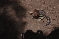 IMGP4873.JPG IMGP4873.JPG