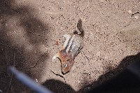 IMGP4874.JPG IMGP4874.JPG