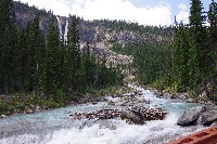 IMGP4884.JPG IMGP4884.JPG