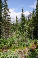 IMGP4888.JPG IMGP4888.JPG