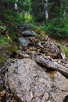 IMGP4891.JPG IMGP4891.JPG