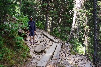 IMGP4892.JPG IMGP4892.JPG