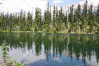 IMGP4894.JPG IMGP4894.JPG