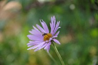 IMGP4896.JPG IMGP4896.JPG