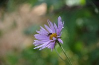 IMGP4898.JPG IMGP4898.JPG