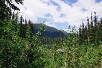 IMGP4906.JPG IMGP4906.JPG