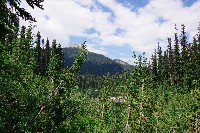 IMGP4907.JPG IMGP4907.JPG