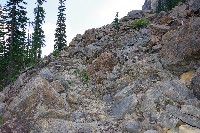 IMGP4909.JPG IMGP4909.JPG