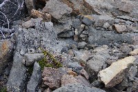 IMGP4915.JPG IMGP4915.JPG