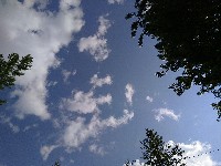 IMG_20180728_170638.jpg IMG_20180728_170638.jpg