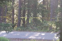 IMGP4931.JPG IMGP4931.JPG