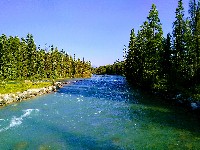 IMG_20180730_084318-EFFECTS.jpg IMG_20180730_084318-EFFECTS.jpg