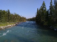 IMG_20180730_084318.jpg IMG_20180730_084318.jpg