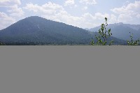 IMGP4940.JPG IMGP4940.JPG