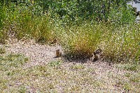 IMGP4941.JPG IMGP4941.JPG