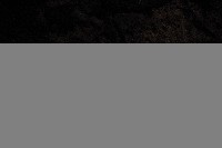 IMGP4965.JPG IMGP4965.JPG