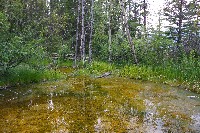 IMGP4980.JPG IMGP4980.JPG