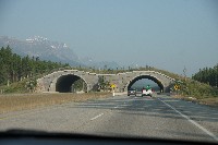 IMGP5001.JPG IMGP5001.JPG