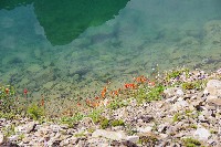 IMGP5050.JPG IMGP5050.JPG