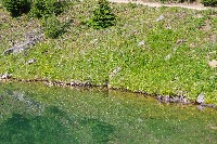 IMGP5051.JPG IMGP5051.JPG