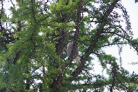 IMGP5073.JPG IMGP5073.JPG