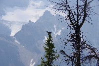 IMGP5074.JPG IMGP5074.JPG