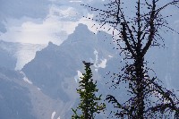 IMGP5075.JPG IMGP5075.JPG