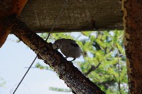 IMGP5076.JPG IMGP5076.JPG