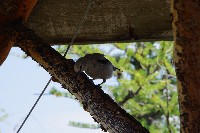 IMGP5077.JPG IMGP5077.JPG