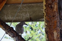 IMGP5078.JPG IMGP5078.JPG