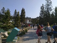 IMG_20180731_095721.jpg IMG_20180731_095721.jpg