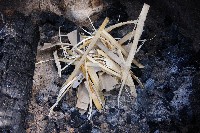 IMGP5124.JPG IMGP5124.JPG