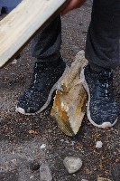 IMGP5134.JPG IMGP5134.JPG