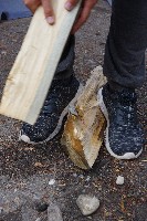 IMGP5135.JPG IMGP5135.JPG