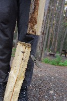 IMGP5139.JPG IMGP5139.JPG