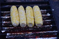 IMGP5147.JPG IMGP5147.JPG