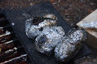 IMGP5148.JPG IMGP5148.JPG