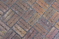 IMGP5204.JPG IMGP5204.JPG