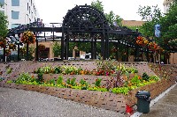 IMGP5205.JPG IMGP5205.JPG