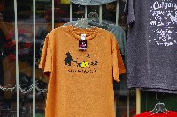 IMGP5226.JPG IMGP5226.JPG