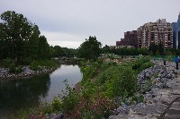 IMGP5228.JPG IMGP5228.JPG