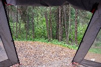 IMGP5949.JPG IMGP5949.JPG