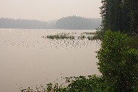 IMGP5952.JPG IMGP5952.JPG