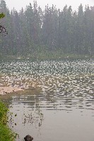 IMGP5953.JPG IMGP5953.JPG