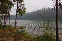 IMGP5954.JPG IMGP5954.JPG